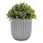 PLANTA DEC. MILAN GRIS CH