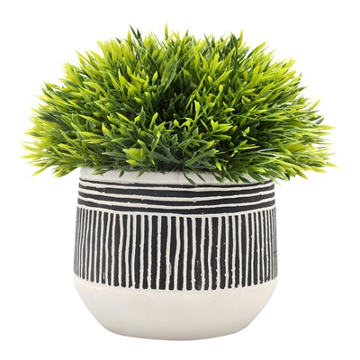 PLANTA DEC. BLANCA/NEGRA CH