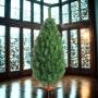 ÁRBOL NAVIDEÑO SIERRA 1.60 M CON 389 RAMAS