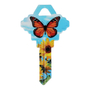 LLAVE RESIDENCIAL 6 X 3.7 CM MULTICOLOR