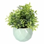 PLANTA DEC. AZUL GEOM.