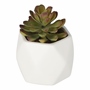 PLANTA DEC. SUCULENTA BLANCA A