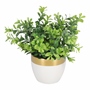 PLANTA DEC. BLANCO CON DORADO