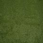 PASTO SINTÉTICO MONTEGO 1 X 3.66 M IDEAL PARA EXTERIOR