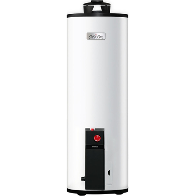 CALENTADOR DE AGUA DE DEPÓSITO 252 L GAS LP PARA 1.5 SERVICIOS