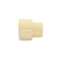 ADAPTADOR CPVC 3/4" HEMBRA