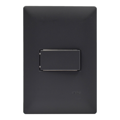 APAGADOR SENCILLO CON PLACA DE PARED NEGRO