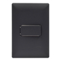 APAGADOR SENCILLO CON PLACA DE PARED NEGRO