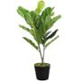 PLANTA PANDURATA DE POLIETILENO ARTIFICIAL 71 X 45 CM CON MACETA DE PLÁSTICO