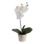 SET DE PLANTAS ARTIFICIALES ORQUÍDEAS 30 X 13 X 9 CM CON MACETA DE PLÁSTICO 2 PIEZAS
