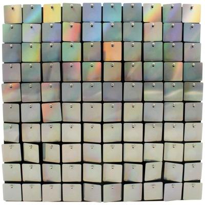 PANEL DE LENTEJUELAS 30 X 30 CM PARA DECORACIÓN 30 Piezas TORNASOL 4D
