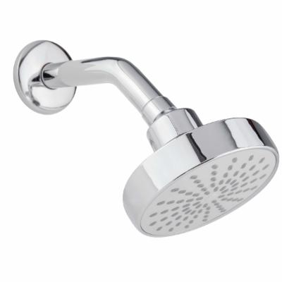 REGADERA CON BRAZO Y CHAPETÓN ECOLÓGICA CROMO AHORRADOR DE AGUA