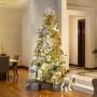 ARBOL DE NAVIDAD GRAND DUCHESS 3.65 M VERDE CON LUCES LED 7647 RAMAS 4200 FOCOS