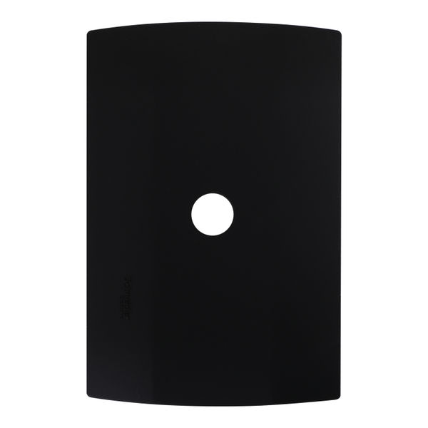 PLACA CON SALIDA DE CABLE NEGRO SCHNEIDER ELECTRIC