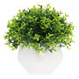PLANTA DEC. SUCULENTA SB 13X13CM