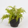 HELECHO ARTIFICIAL BOBBY - VERDE Y NEGRO