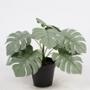 PLANTA ARTIFICIAL DANGELO - VERDE Y NEGRO