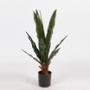 PLANTA ARTIFICIAL SNERPI - VERDE Y NEGRO