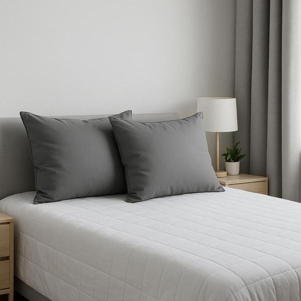 ALMOHADA 2-PACK PACK DE 3 (6 ALMOHADAS) DICASA