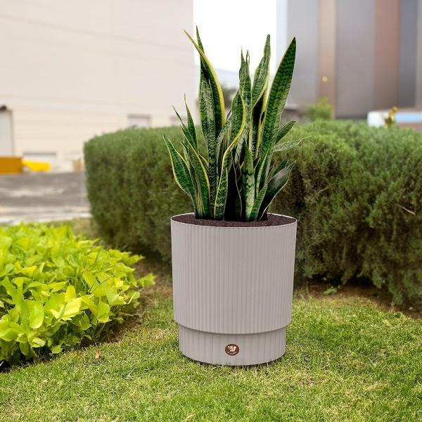 MACETA DE POLIPROPILENO REDONDA GRANDE GRIS 30 CM PARA INTERIOR Y EXTERIOR