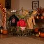ANIMATRONIC SET DE 3 GREMLINS 1.2 M CON LUZ LED