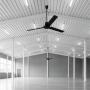 VENTILADOR DE TECHO ICARUS 56" NEGRO