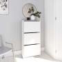 ZAPATERO MINIMALISTA 18 PARES ORGANIZADOR CON PUERTAS BLANCO FROSTY