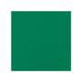 PANEL DE ACRÍLICO 40 X 40 CM PARA DECORACIÓN RESISTENTE VERDE