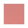 PANEL DE ACRÍLICO 40 X 40 CM PARA DECORACIÓN RESISTENTE CORAL