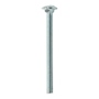 100 TORNILLOS COCHE 1/4 X 3 PULGADAS PLATA