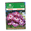 SEMILLAS DE PHLOX JUANITAS 250 MG MORADO GERMINAL