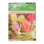 SEMILLAS DE CELOSIA PLUMOSA 125 MG MULTICOLOR GERMINAL