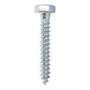 100 TORNILLOS HEXAGONAL 5/16 X 2 PULGADAS PLATA
