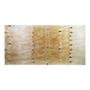 TRIPLAY BC 1.22 X 2.44 M 12MM