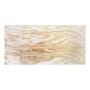 TRIPLAY BC 1.22 X 2.44 M 15MM