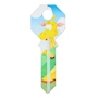 LLAVE RESIDENCIAL PARA CERRADURA PHILLIPS VARIOS COLORES