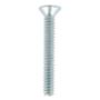 10 TORNILLOS PARA MÁQUINAS 1 PULGADA PLATA