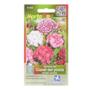 SEMILLAS DE CLAVEL DEL POETA 0.3 GR MULTICOLOR HORTAFLOR