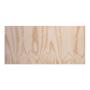 TRIPLAY BC 0.61 X 1.22 M 18MM