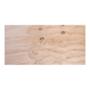 TRIPLAY BC 0.61 X 1.22 M 9MM