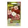 SEMILLAS DE CLAVEL DE CHINA 0.3 GR MULTICOLOR VÍTA