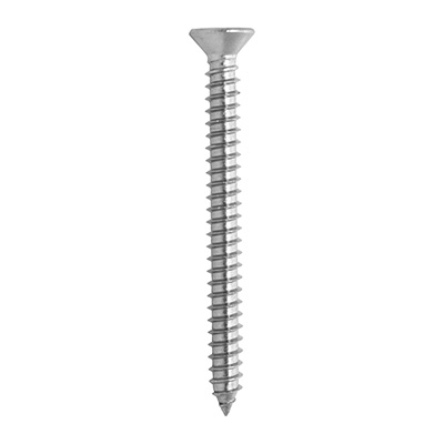 5 TORNILLOS PARA METAL 2 PULGADAS PLATA