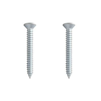 2 TORNILLOS PARA METAL 2 PULGADAS PLATA