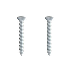 2 TORNILLOS PARA METAL 2 PULGADAS PLATA