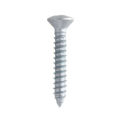 10 TORNILLOS PARA METAL 1 PULGADA PLATA