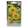 SEMILLAS DE GIRASOL DOBLE GIGANTE DE CALIFORNIA 2 GR VITA