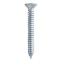 2 TORNILLOS PARA METAL 2 PULGADAS PLATA