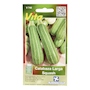 SEMILLAS DE CALABAZA LARGA 2.6 GR VITA