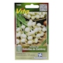 SEMILLAS DE CEBOLLA CAMBRAY 1.4 GR VERDE VITA