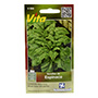 SEMILLAS DE ESPINACA 5 GR VITA